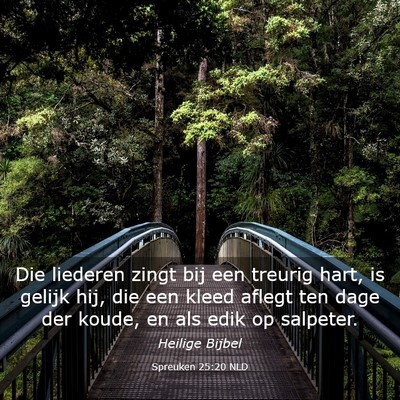 Picture 03 - Spreuken 25:20 NLD - Die liederen zingt bij een treurig hart, is - Bible Verse Picture