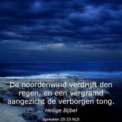 Picture 03 - Spreuken 25:23 NLD - De noordenwind verdrijft den regen, en een - Bible Verse Picture