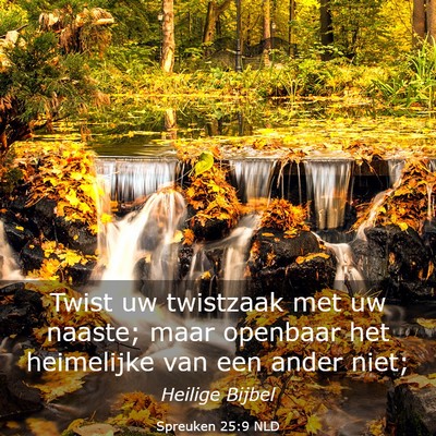 Picture 03 - Spreuken 25:9 NLD - Twist uw twistzaak met uw naaste; maar openbaar - Bible Verse Picture