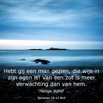 Picture 03 - Spreuken 26:12 NLD - Hebt gij een man gezien, die wijs in zijn ogen - Bible Verse Picture
