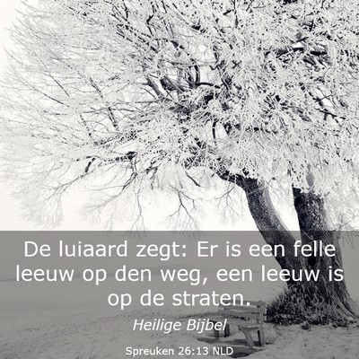 Picture 03 - Spreuken 26:13 NLD - De luiaard zegt: Er is een felle leeuw op den - Bible Verse Picture
