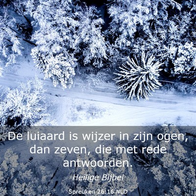 Picture 03 - Spreuken 26:16 NLD - De luiaard is wijzer in zijn ogen, dan zeven, die - Bible Verse Picture