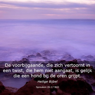 Picture 03 - Spreuken 26:17 NLD - De voorbijgaande, die zich vertoornt in een - Bible Verse Picture