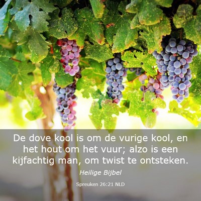 Picture 03 - Spreuken 26:21 NLD - De dove kool is om de vurige kool, en het hout om - Bible Verse Picture