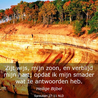 Picture 03 - Spreuken 27:11 NLD - Zijt wijs, mijn zoon, en verblijd mijn hart; - Bible Verse Picture