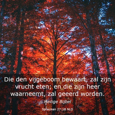 Picture 03 - Spreuken 27:18 NLD - Die den vijgeboom bewaart, zal zijn vrucht eten; - Bible Verse Picture