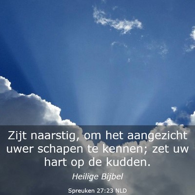 Picture 03 - Spreuken 27:23 NLD - Zijt naarstig, om het aangezicht uwer schapen te - Bible Verse Picture