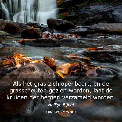 Picture 03 - Spreuken 27:25 NLD - Als het gras zich openbaart, en de grasscheuten - Bible Verse Picture