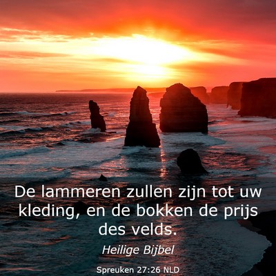 Picture 03 - Spreuken 27:26 NLD - De lammeren zullen zijn tot uw kleding, en de - Bible Verse Picture