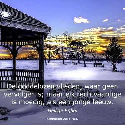 Picture 03 - Spreuken 28:1 NLD - De goddelozen vlieden, waar geen vervolger is; - Bible Verse Picture