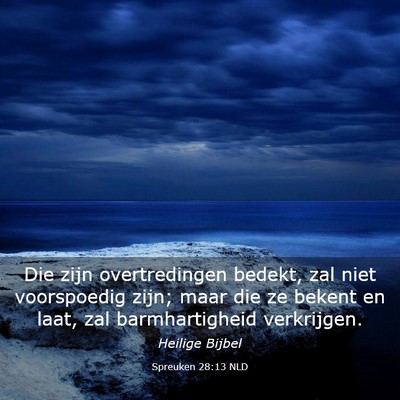 Picture 03 - Spreuken 28:13 NLD - Die zijn overtredingen bedekt, zal niet - Bible Verse Picture