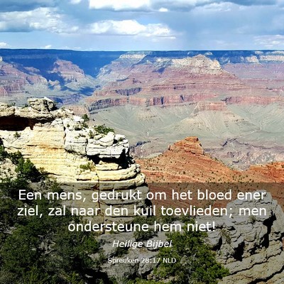 Picture 03 - Spreuken 28:17 NLD - Een mens, gedrukt om het bloed ener ziel, zal - Bible Verse Picture
