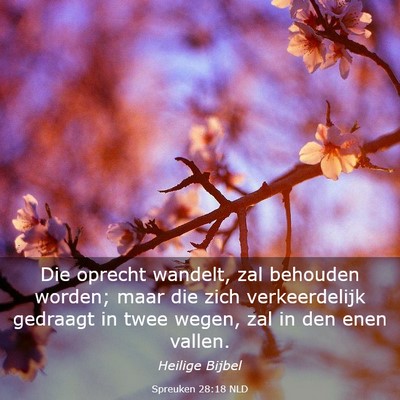 Picture 03 - Spreuken 28:18 NLD - Die oprecht wandelt, zal behouden worden; maar - Bible Verse Picture