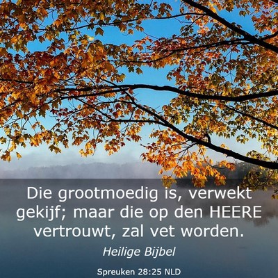 Picture 03 - Spreuken 28:25 NLD - Die grootmoedig is, verwekt gekijf; maar die op - Bible Verse Picture