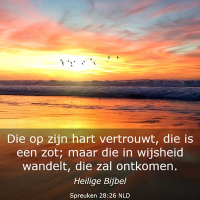 Picture 03 - Spreuken 28:26 NLD - Die op zijn hart vertrouwt, die is een zot; maar - Bible Verse Picture
