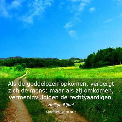 Picture 03 - Spreuken 28:28 NLD - Als de goddelozen opkomen, verbergt zich de mens; - Bible Verse Picture