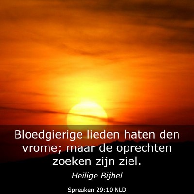 Picture 03 - Spreuken 29:10 NLD - Bloedgierige lieden haten den vrome; maar de - Bible Verse Picture