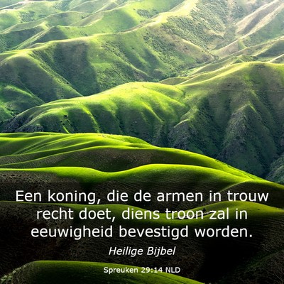 Picture 03 - Spreuken 29:14 NLD - Een koning, die de armen in trouw recht doet, - Bible Verse Picture