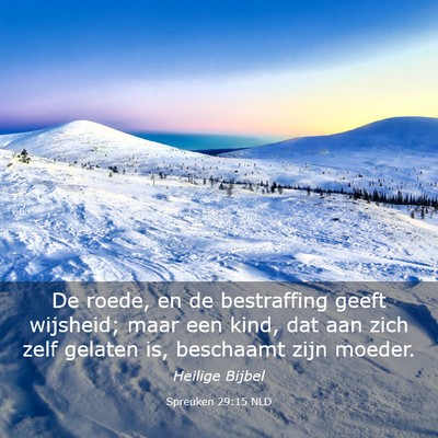 Picture 03 - Spreuken 29:15 NLD - De roede, en de bestraffing geeft wijsheid; maar - Bible Verse Picture