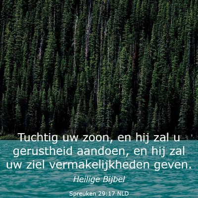 Picture 03 - Spreuken 29:17 NLD - Tuchtig uw zoon, en hij zal u gerustheid aandoen, - Bible Verse Picture