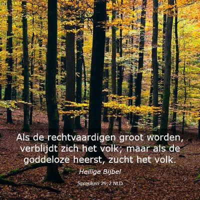 Picture 03 - Spreuken 29:2 NLD - Als de rechtvaardigen groot worden, verblijdt - Bible Verse Picture