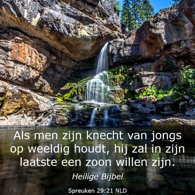 Picture 03 - Spreuken 29:21 NLD - Als men zijn knecht van jongs op weeldig houdt, - Bible Verse Picture