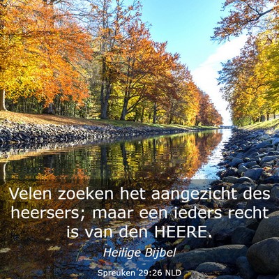 Picture 03 - Spreuken 29:26 NLD - Velen zoeken het aangezicht des heersers; maar - Bible Verse Picture