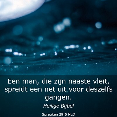 Picture 03 - Spreuken 29:5 NLD - Een man, die zijn naaste vleit, spreidt een net - Bible Verse Picture
