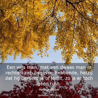 Picture 03 - Spreuken 29:9 NLD - Een wijs man, met een dwaas man in rechten zich - Bible Verse Picture