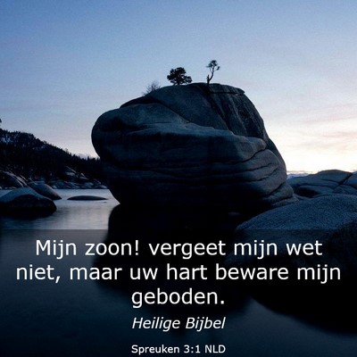 Picture 03 - Spreuken 3:1 NLD - Mijn zoon! vergeet mijn wet niet, maar uw hart - Bible Verse Picture