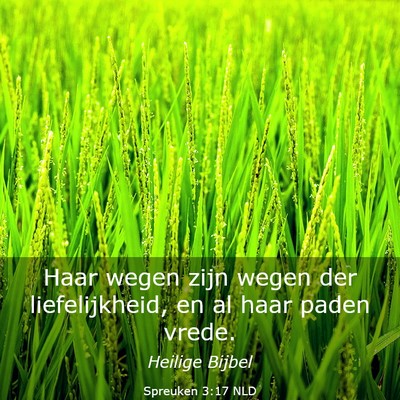 Picture 03 - Spreuken 3:17 NLD - Haar wegen zijn wegen der liefelijkheid, en al - Bible Verse Picture
