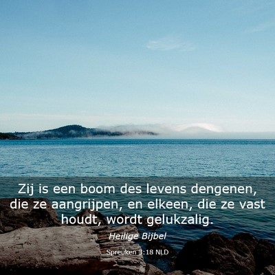 Picture 03 - Spreuken 3:18 NLD - Zij is een boom des levens dengenen, die ze - Bible Verse Picture