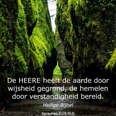 Picture 03 - Spreuken 3:19 NLD - De HEERE heeft de aarde door wijsheid gegrond, de - Bible Verse Picture