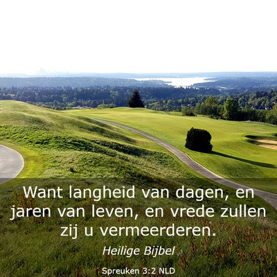 Picture 03 - Spreuken 3:2 NLD - Want langheid van dagen, en jaren van leven, en - Bible Verse Picture