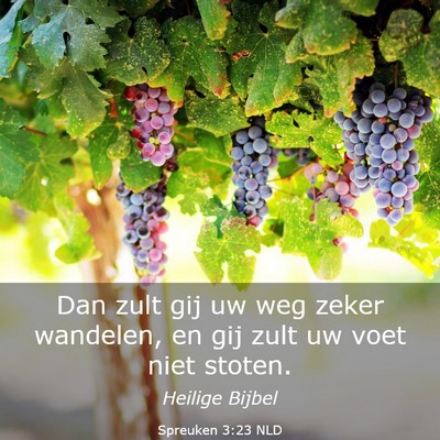 Picture 03 - Spreuken 3:23 NLD - Dan zult gij uw weg zeker wandelen, en gij zult - Bible Verse Picture