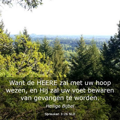 Picture 03 - Spreuken 3:26 NLD - Want de HEERE zal met uw hoop wezen, en Hij zal - Bible Verse Picture
