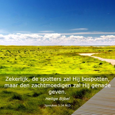 Picture 03 - Spreuken 3:34 NLD - Zekerlijk, de spotters zal Hij bespotten, maar - Bible Verse Picture