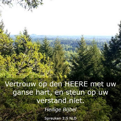 Picture 03 - Spreuken 3:5 NLD - Vertrouw op den HEERE met uw ganse hart, en steun - Bible Verse Picture
