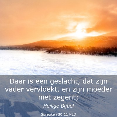 Picture 03 - Spreuken 30:11 NLD - Daar is een geslacht, dat zijn vader vervloekt, - Bible Verse Picture