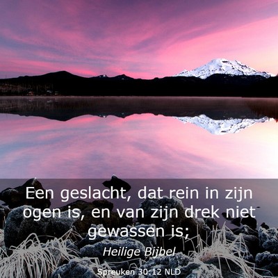 Picture 03 - Spreuken 30:12 NLD - Een geslacht, dat rein in zijn ogen is, en van - Bible Verse Picture