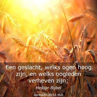 Picture 03 - Spreuken 30:13 NLD - Een geslacht, welks ogen hoog zijn, en welks - Bible Verse Picture