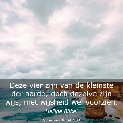 Picture 03 - Spreuken 30:24 NLD - Deze vier zijn van de kleinste der aarde; doch - Bible Verse Picture