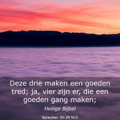 Picture 03 - Spreuken 30:29 NLD - Deze drie maken een goeden tred; ja, vier zijn - Bible Verse Picture
