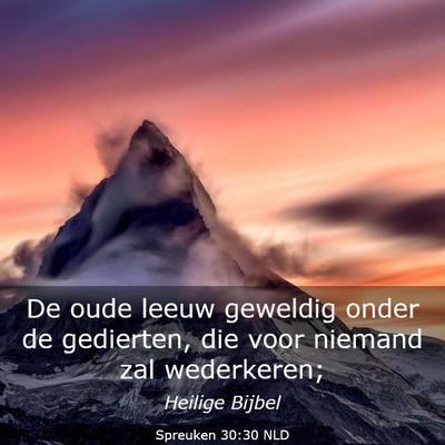 Picture 03 - Spreuken 30:30 NLD - De oude leeuw geweldig onder de gedierten, die - Bible Verse Picture