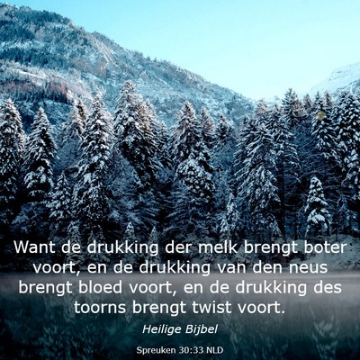 Picture 03 - Spreuken 30:33 NLD - Want de drukking der melk brengt boter voort, en - Bible Verse Picture