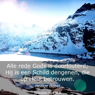 Picture 03 - Spreuken 30:5 NLD - Alle rede Gods is doorlouterd; Hij is een Schild - Bible Verse Picture