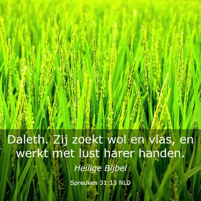 Picture 03 - Spreuken 31:13 NLD - Daleth. Zij zoekt wol en vlas, en werkt met lust - Bible Verse Picture