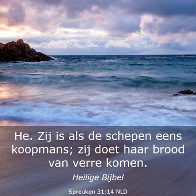 Picture 03 - Spreuken 31:14 NLD - He. Zij is als de schepen eens koopmans; zij doet - Bible Verse Picture