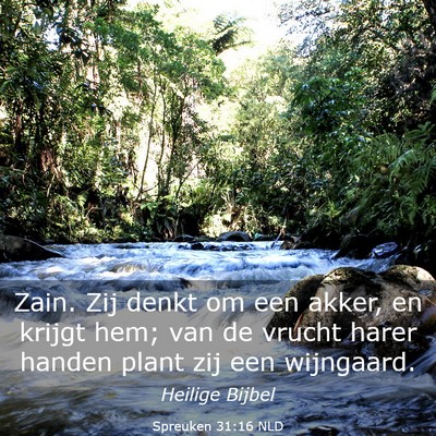 Picture 03 - Spreuken 31:16 NLD - Zain. Zij denkt om een akker, en krijgt hem; van - Bible Verse Picture
