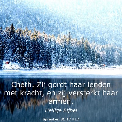 Picture 03 - Spreuken 31:17 NLD - Cheth. Zij gordt haar lenden met kracht, en zij - Bible Verse Picture